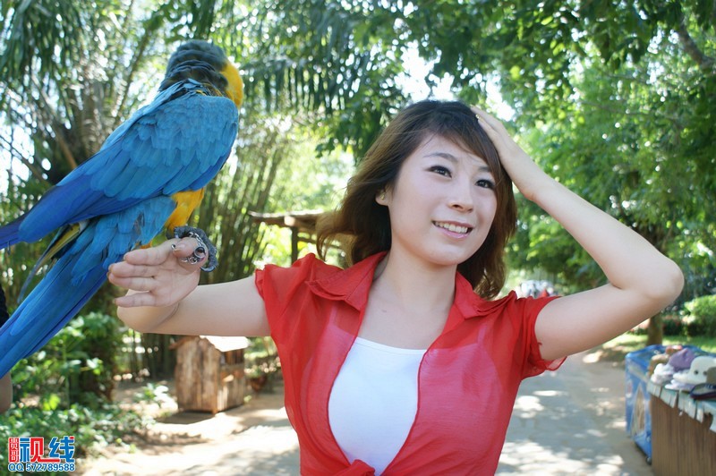 美女走进海南热带飞禽世界  倾听天籁鸟音与鸟共舞（周宗贵 摄影） (11).jpg