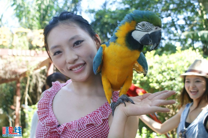 美女走进海南热带飞禽世界  倾听天籁鸟音与鸟共舞（周宗贵 摄影） (13).jpg