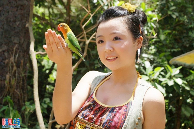 美女走进海南热带飞禽世界  倾听天籁鸟音与鸟共舞（周宗贵 摄影） (18).jpg