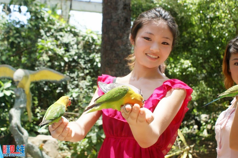 美女走进海南热带飞禽世界  倾听天籁鸟音与鸟共舞（周宗贵 摄影） (22).jpg