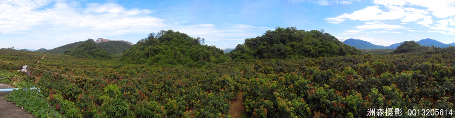 IMG_20130526_101124.jpg