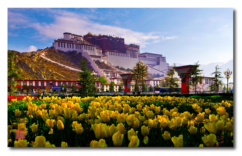 布达拉宫位于西藏拉萨市北京中路的红山之巅，13层的宫殿式建筑，高110米左右，海拔3750米。