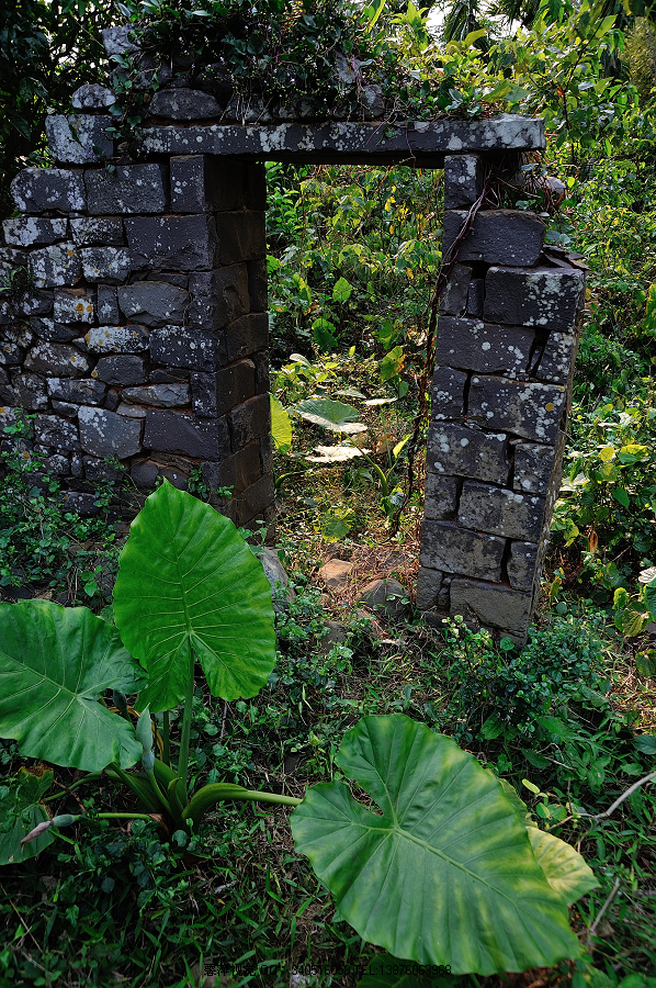 GL021.jpg