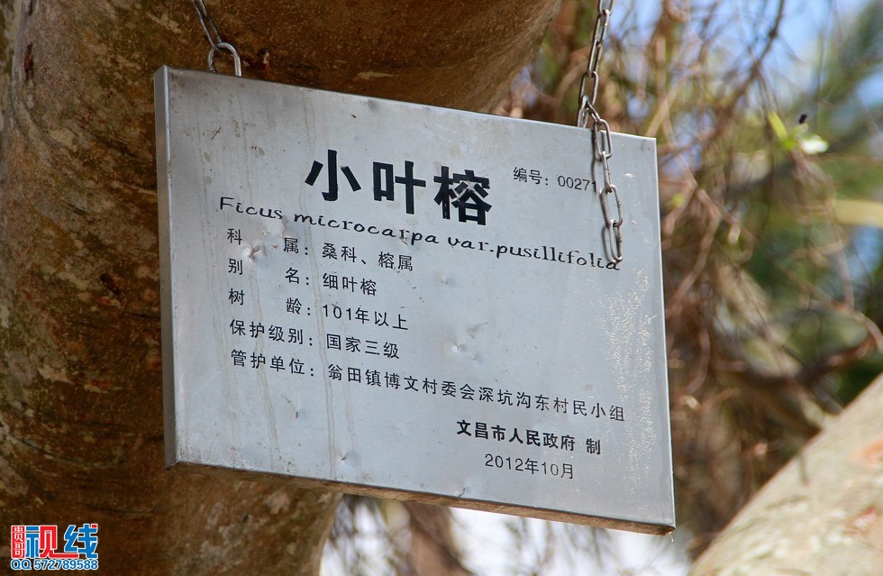 超强台风“威马逊”袭击海南  海口抚州商会爱心物资送灾区（周宗贵 摄） (4).jpg
