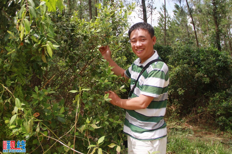 到乡下采摘山棯子，回忆童年采摘乐趣。（周宗贵 摄） (1).jpg