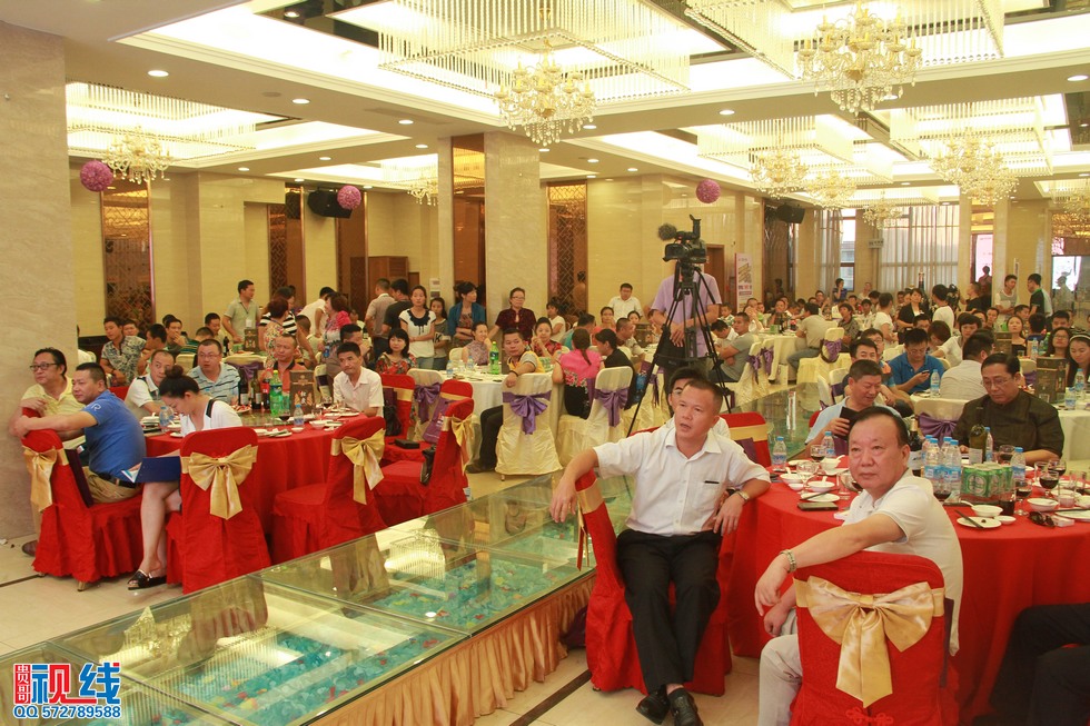 海南省琼海湖南商会9月29日正式成立。（周宗贵 摄） (19).jpg