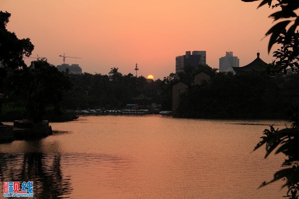 10月8日椰城夕阳无限美。（周宗贵 摄） (1).jpg