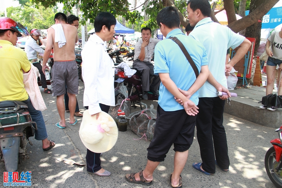 海口街头男子叫卖马蜂引围观  马蜂蛰伤人有可能会送命。（周宗贵 摄） (10).jpg