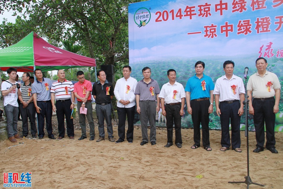 “2014年琼中绿橙乡村旅游季——绿橙开摘仪式”现场实况。（周宗贵 摄） (5).jpg