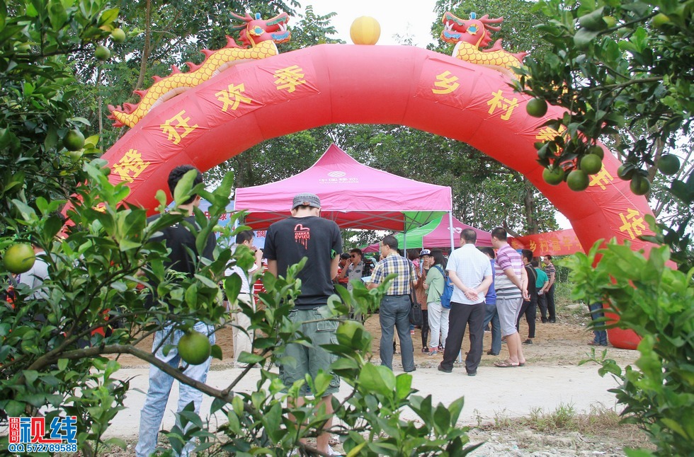“2014年琼中绿橙乡村旅游季——绿橙开摘仪式”现场实况。（周宗贵 摄） (10).jpg