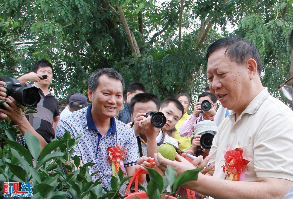省人大常委会副主任张力夫，琼中县委书记，县长率先采摘品尝。（周宗贵 摄） (2).jpg
