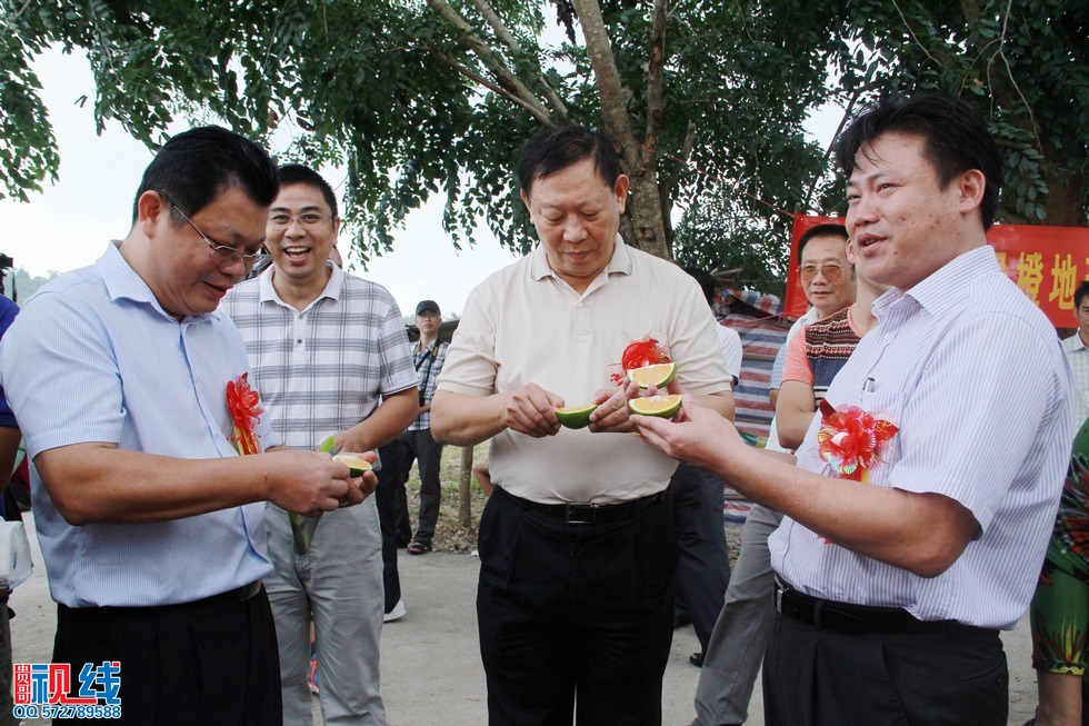 省人大常委会副主任张力夫，琼中县委书记，县长率先采摘品尝。（周宗贵 摄） (3).jpg