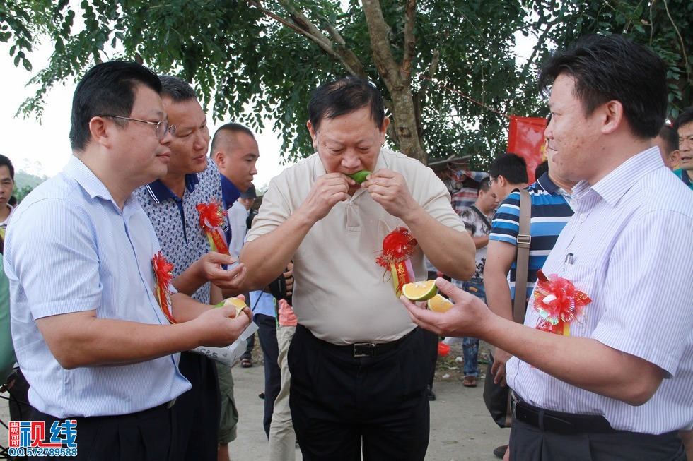 省人大常委会副主任张力夫，琼中县委书记，县长率先采摘品尝。（周宗贵 摄） (4).jpg
