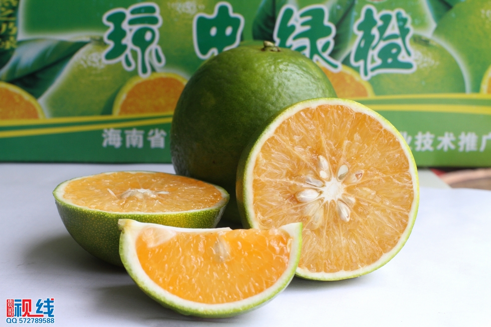 舌尖上的“琼中绿橙”开摘    吸引自驾旅客纷探访。（周宗贵 摄） (22).jpg
