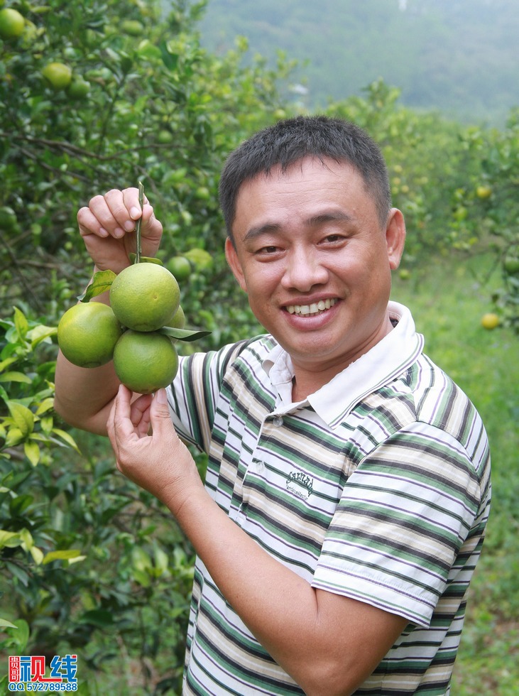 舌尖上的“琼中绿橙”开摘    吸引自驾旅客纷探访。（周宗贵 摄） (1).jpg