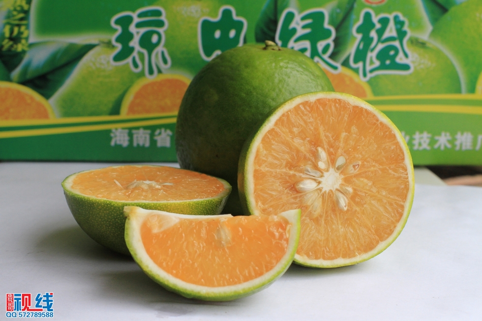 舌尖上的“琼中绿橙”开摘    吸引自驾旅客纷探访。（周宗贵 摄） (21).jpg