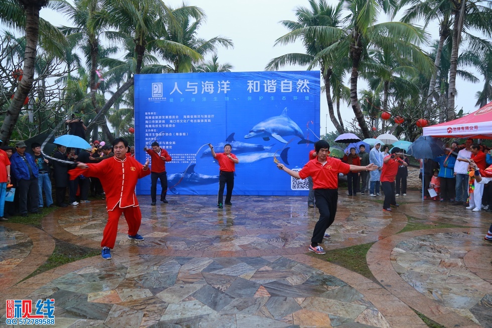 “保护海洋生物 保护生态环境＂大型公益活动今日海口举行 (16).jpg