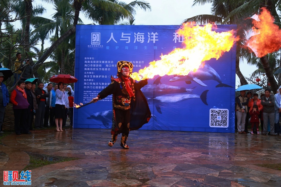 “保护海洋生物 保护生态环境＂大型公益活动今日海口举行 (29).jpg