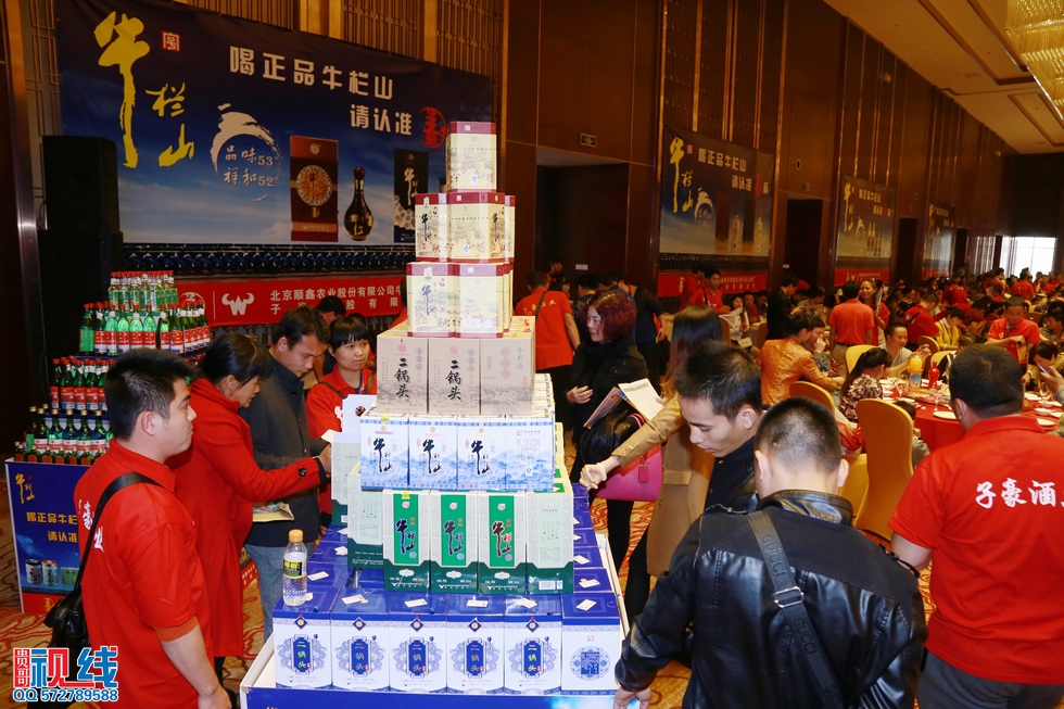 海南子豪酒业举办2015新春团拜会现场实况。（周宗贵 摄） (3).jpg