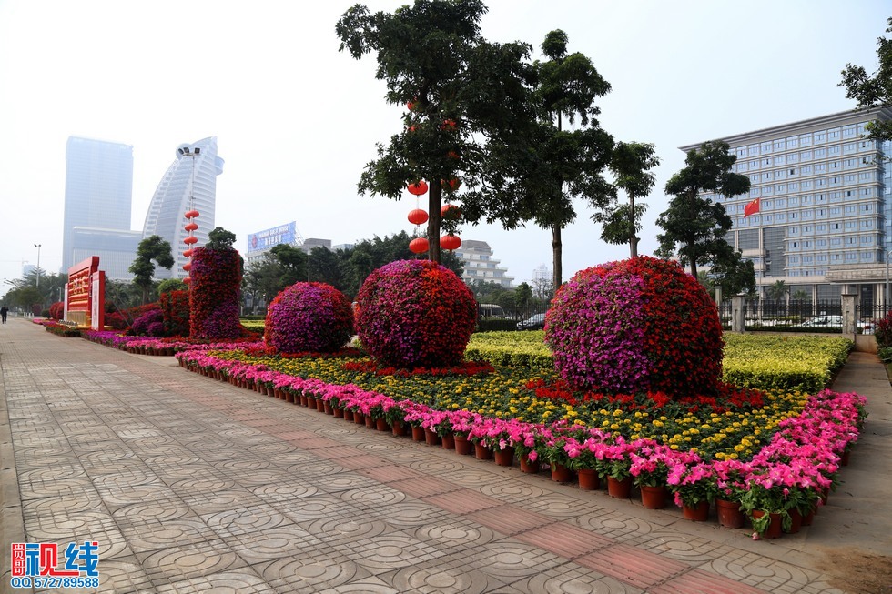 45万盆鲜花扮靓椰城 (2).jpg