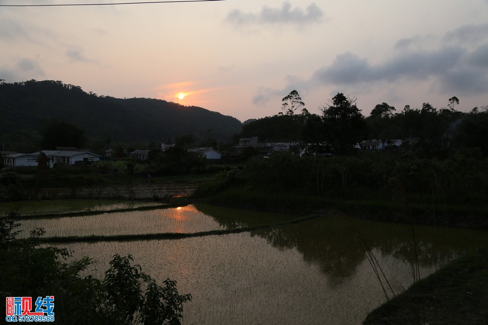 海南海拔最高的山村“天上什寒”的美丽风光。（周宗贵 摄） (11).jpg