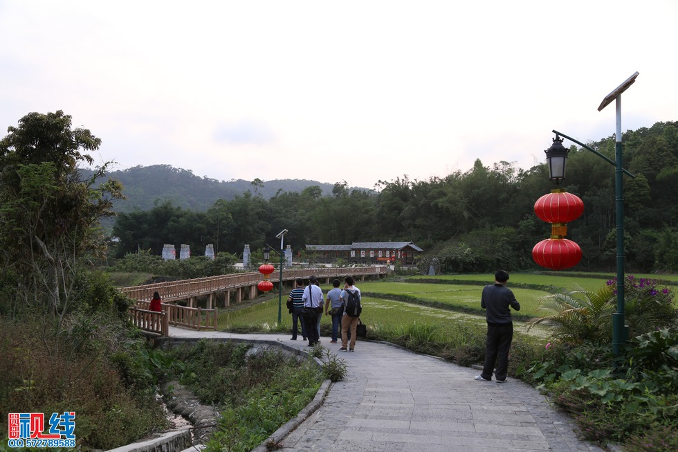 海南海拔最高的山村“天上什寒”的美丽风光。（周宗贵 摄） (16).jpg