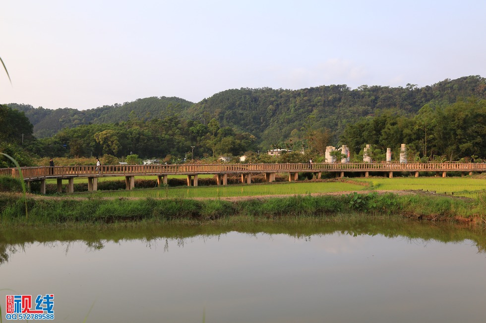 海南海拔最高的山村“天上什寒”的美丽风光。（周宗贵 摄） (31).jpg