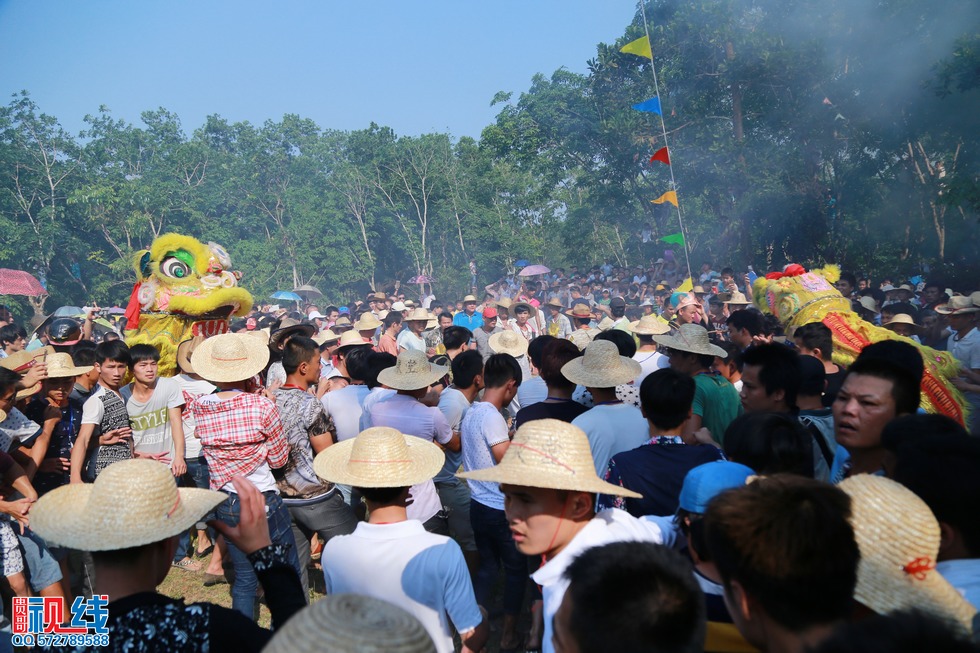 屯昌县新兴镇领前军坡节   吸引上万村民齐聚看穿锵。（周宗贵 摄） (5).jpg
