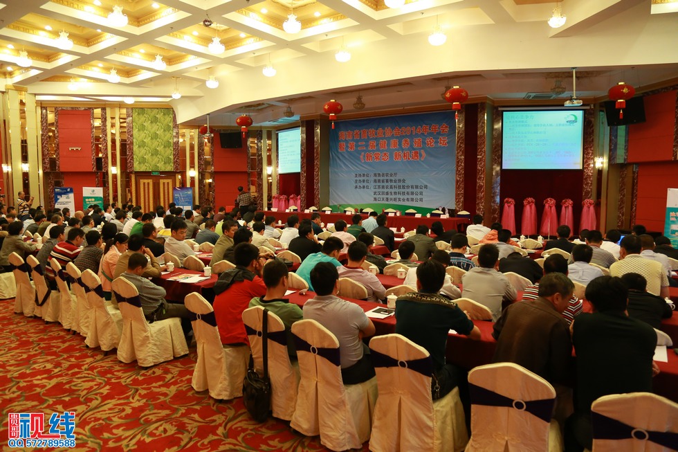 海南省畜牧业协会2014年年会暨第二届健康养猪论坛现场实况。（周宗贵 摄） (8).jpg