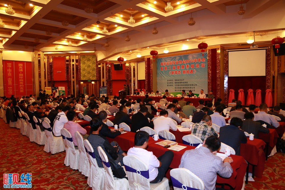 海南省畜牧业协会2014年年会暨第二届健康养猪论坛现场实况。（周宗贵 摄） (20).jpg