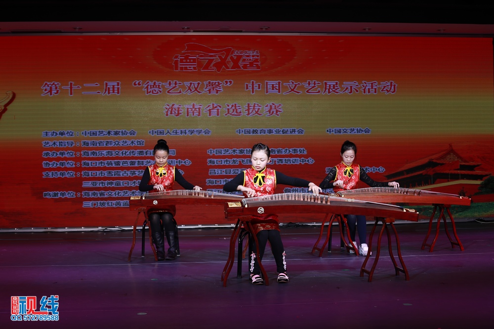 nEO_IMG_第十二届德艺双馨海南初赛（精选图）（周宗贵 摄） (29).jpg