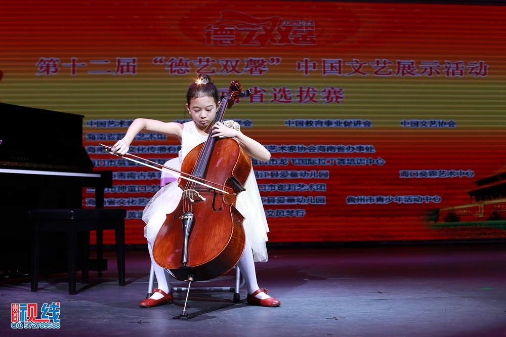 nEO_IMG_第十二届德艺双馨海南初赛（精选图）（周宗贵 摄） (56).jpg