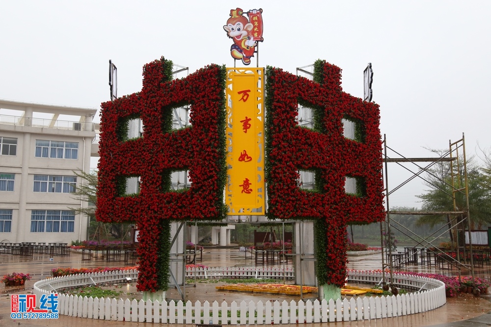 2016首届海南国 际旅游岛三角梅花展抢先看。（周宗贵 摄） (16).jpg