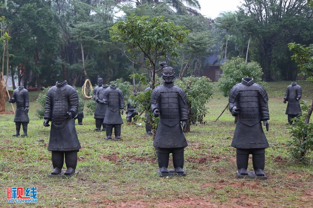 2016首届海南国 际旅游岛三角梅花展抢先看。（周宗贵 摄） (18).jpg