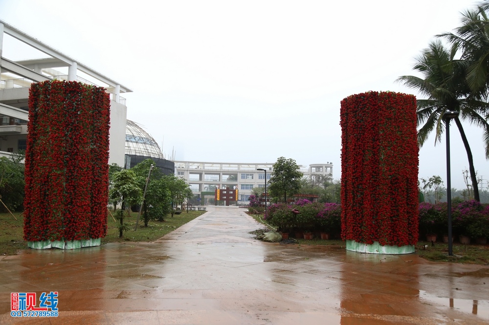 2016首届海南国 际旅游岛三角梅花展抢先看。（周宗贵 摄） (19).jpg
