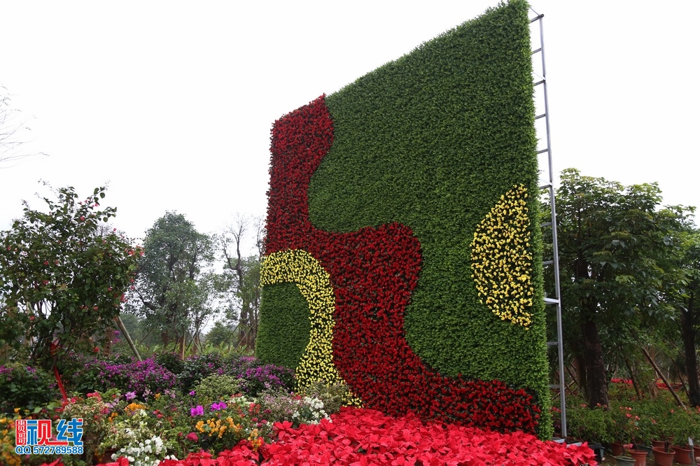 2016首届海南国 际旅游岛三角梅花展抢先看。（周宗贵 摄） (24).jpg